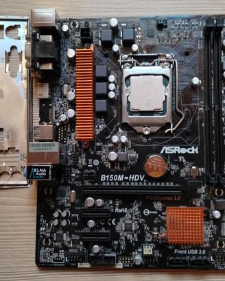 Scheda madre Asrock B150M-HDV