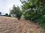 Immagine 25