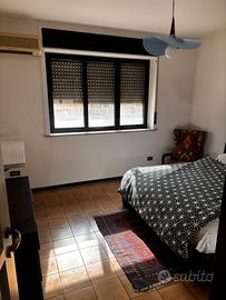 Stanza in appartamento condiviso