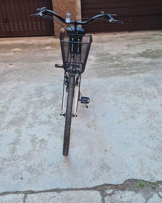 Bici da donna