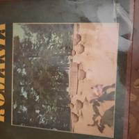 vinile 33 giri canzoni rumene