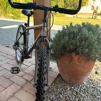 Bicicletta mountain bike