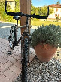 Bicicletta mountain bike