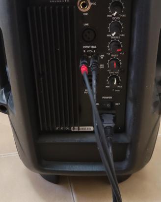 cassa per karaoke