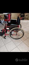 sedie a rotelle 