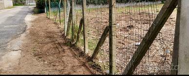 La gogna -terreno edificabile