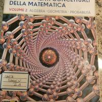 LA  BASI  CONCETTUALI  DELLA  MATEMATICA  