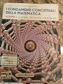 LA  BASI  CONCETTUALI  DELLA  MATEMATICA  