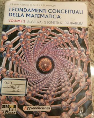 LA  BASI  CONCETTUALI  DELLA  MATEMATICA  