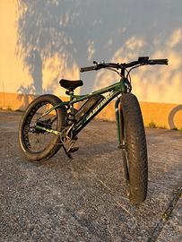 Bici Elettrica Fat Bike