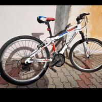 Mtb Legnano bambino