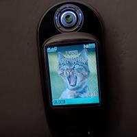 TELEFONO CELLULARE MOTOROLA