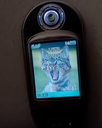 TELEFONO CELLULARE MOTOROLA