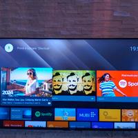 TV Sony bravia 55 più impianto home theater 