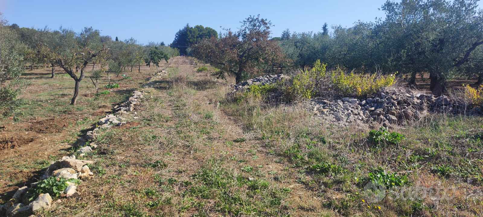 Terreno agricolo - Altro