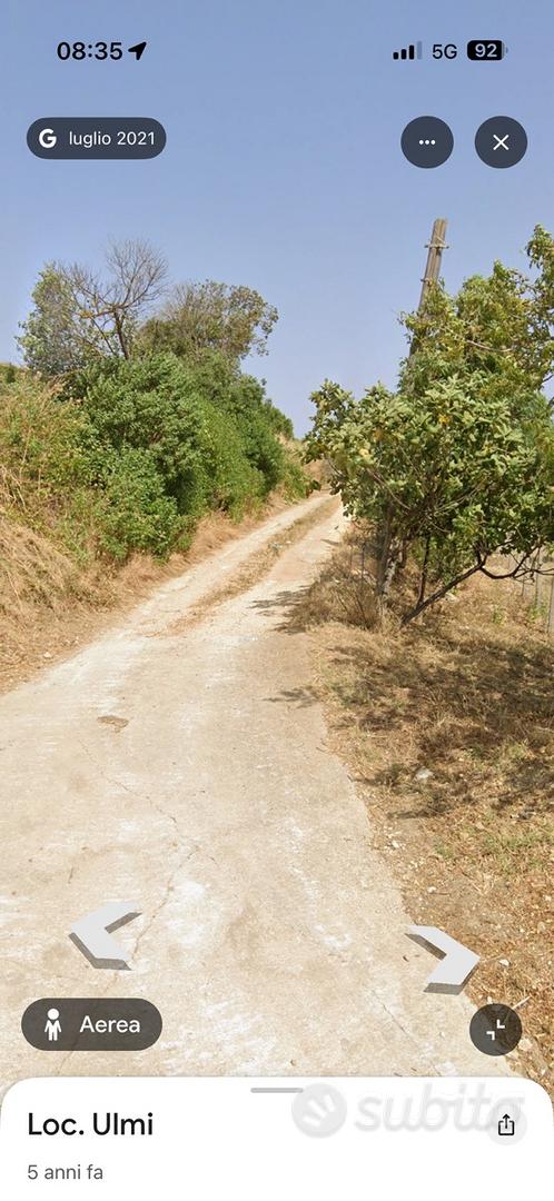 Terreno 0,6 ettari vigneto spalliera c/da Musita - Altro