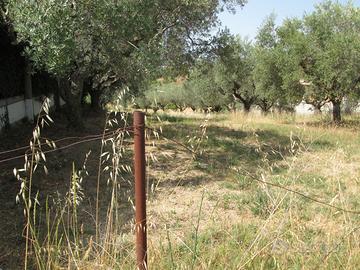 Rif. 239b terreno a montesilvano