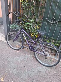 bici da ragazzo