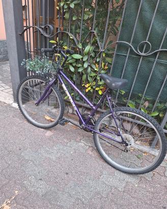 bici da ragazzo