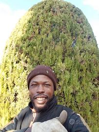 Giardiniere Falegname Autista Manovale Trattorista