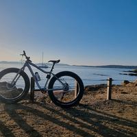 Fat Bike mtb 26 29