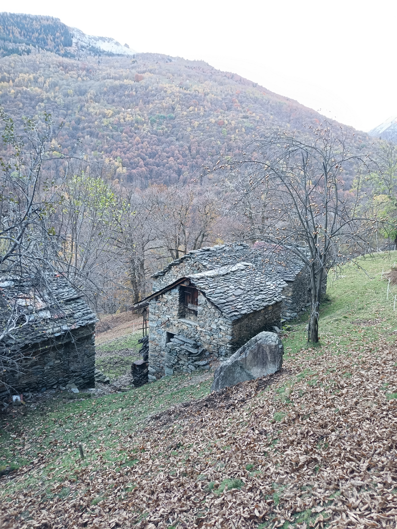 Rustico con terreno - Vista 5