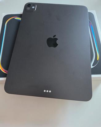 IPAD PRO M5 11INCH 256GB WIFI KM0 GARANZIA APPLE 