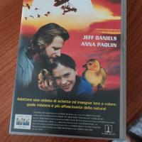 video cassette 