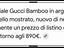 Immagine 6