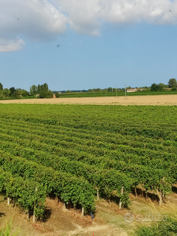 Terreno con mezzi agricoli