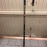 Canna bolognese COLMIC  FOCE NX 300 9 mt