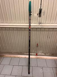 Canna bolognese COLMIC  FOCE NX 300 9 mt