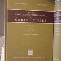 Nuova rassegna di Giurisprudenza sul Codice Civile