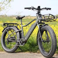 nief colosseo fat bike