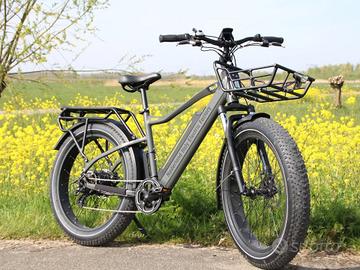 nief colosseo fat bike