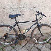 Bici MTB 