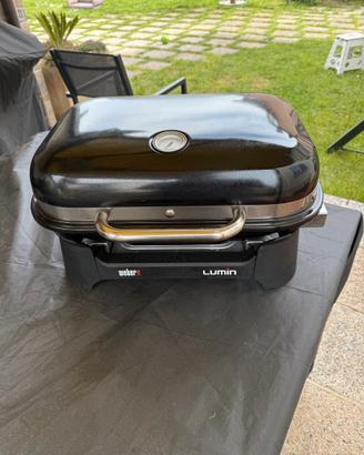 Weber Iluma