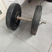 2 manubri+ manubrio più due pesi da 5 kg 