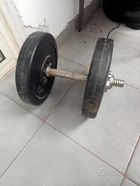 2 manubri+ manubrio più due pesi da 5 kg 