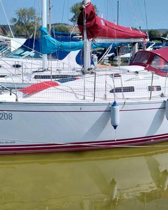 DELPHIA  29