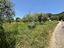 Immagine 18