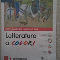 Letteratura a colori