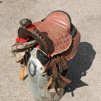 sella ( Americana da poni