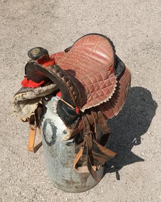 sella ( Americana da poni