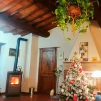 Stufa a legna in ghisa