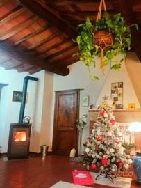 Stufa a legna in ghisa