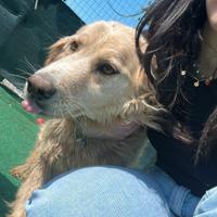 Nonna Arnia in canile