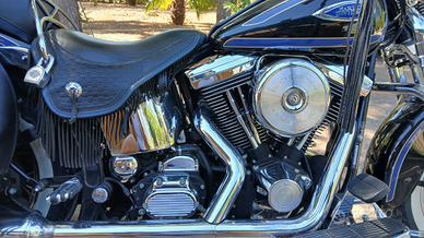 Heritage springer