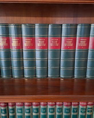 I Propilei - Grande Storia Universale N.11 Volumi