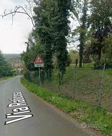 Terreno boschivo colle di covignano